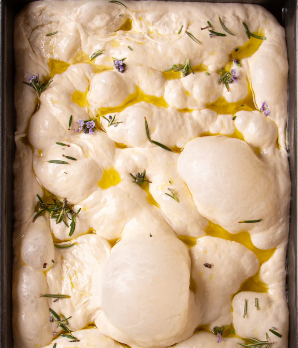 Small Olive Oil Focaccia - 500g