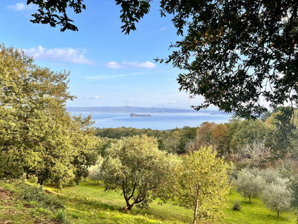 What Makes Italian Extra Virgin Olive Oil DOP So Special?