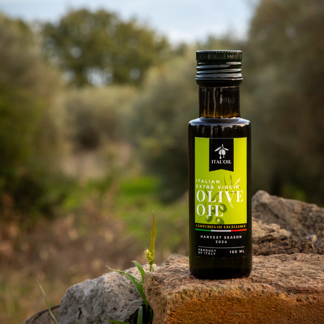 ITALOIL 100ml extra virgin olive oil bottle in an Italian olive grove
