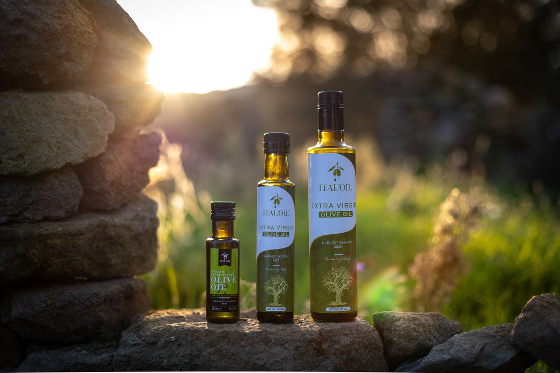 ITALOIL olive oil bottles displayed in an olive grove