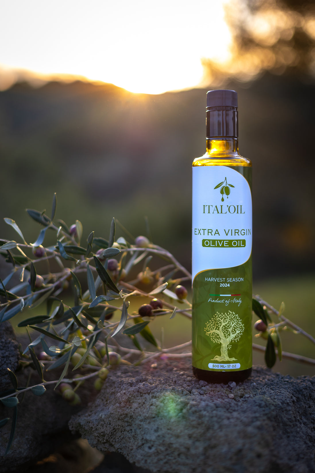 ITALOIL 500ml olive oil bottle among olive branches