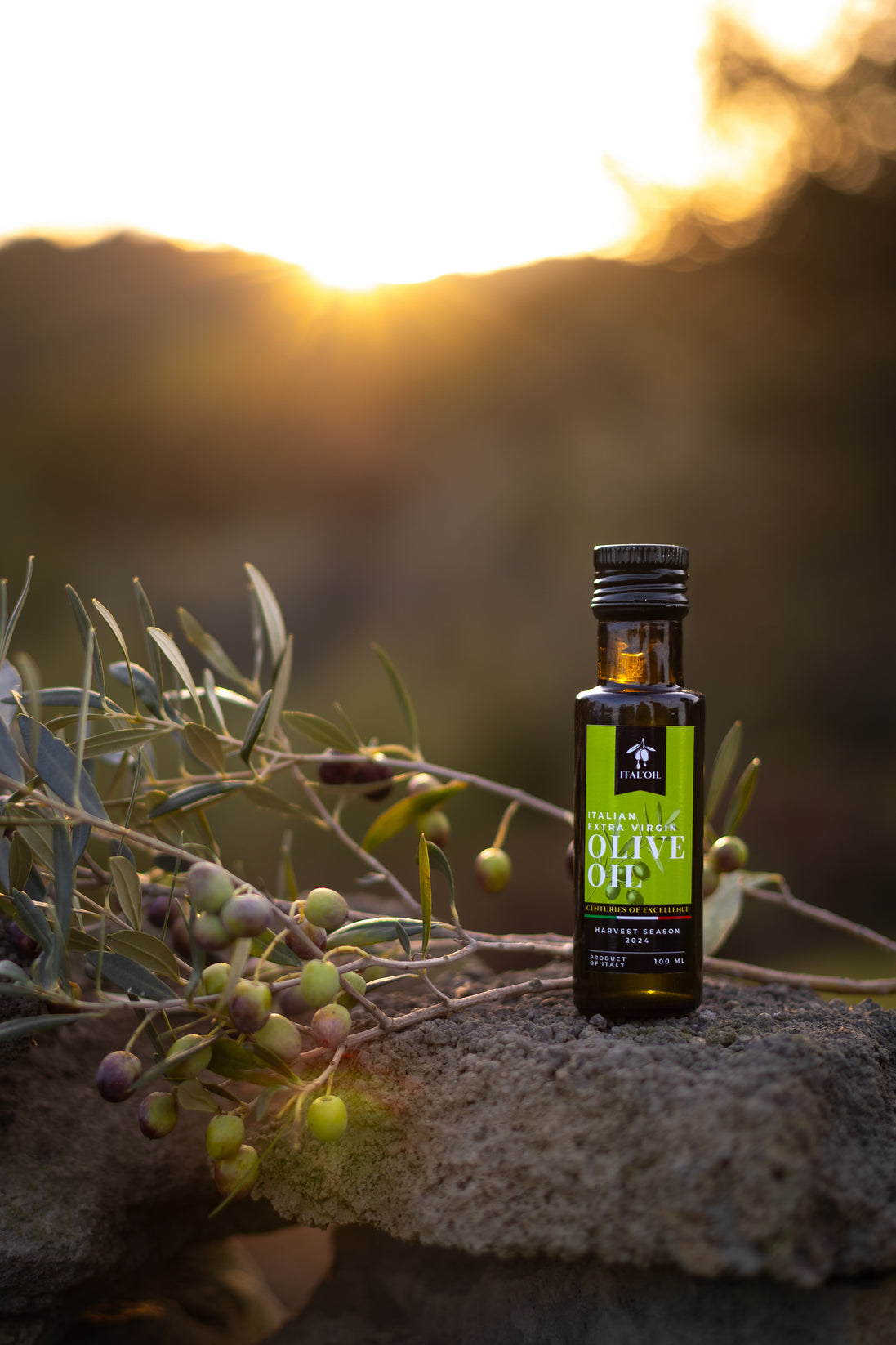 ITALOIL 100ml extra virgin olive oil bottle beside olive branches at sunset