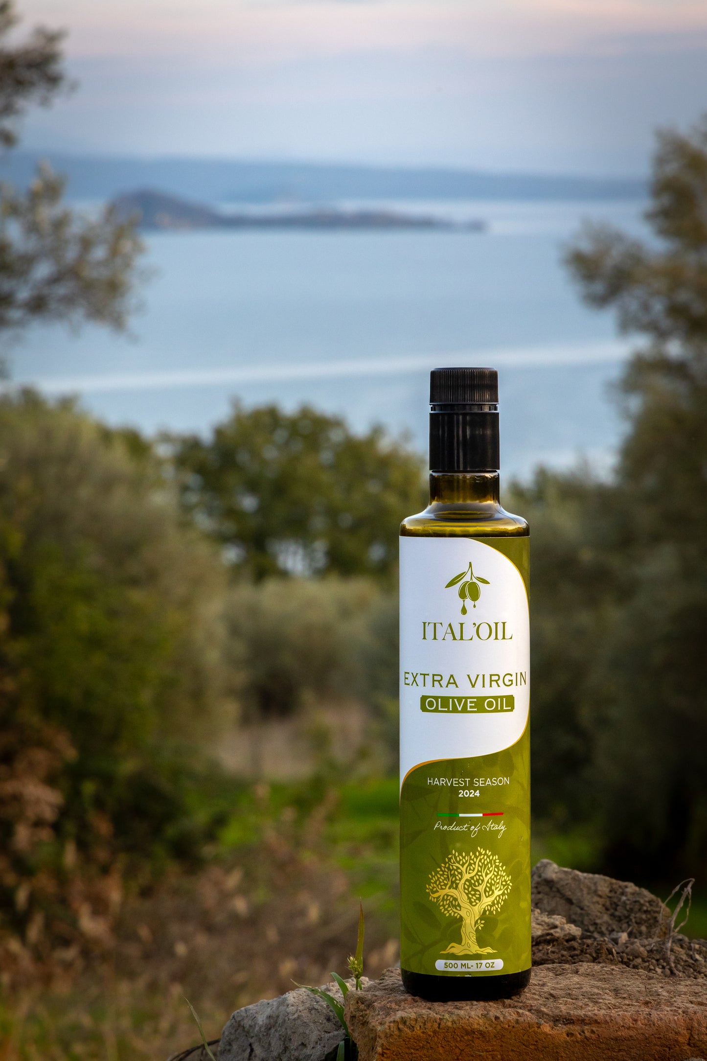 Olive Oil from Italy Harvest 2024 - 17oz