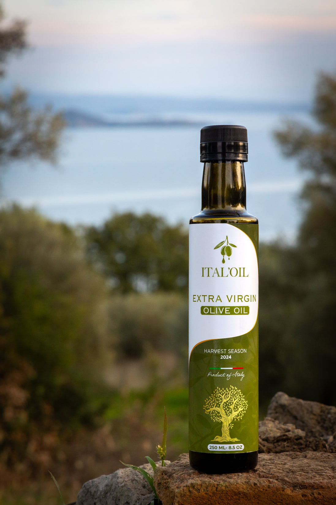 ITALOIL 250ml extra virgin olive oil bottle overlooking the Italian coast