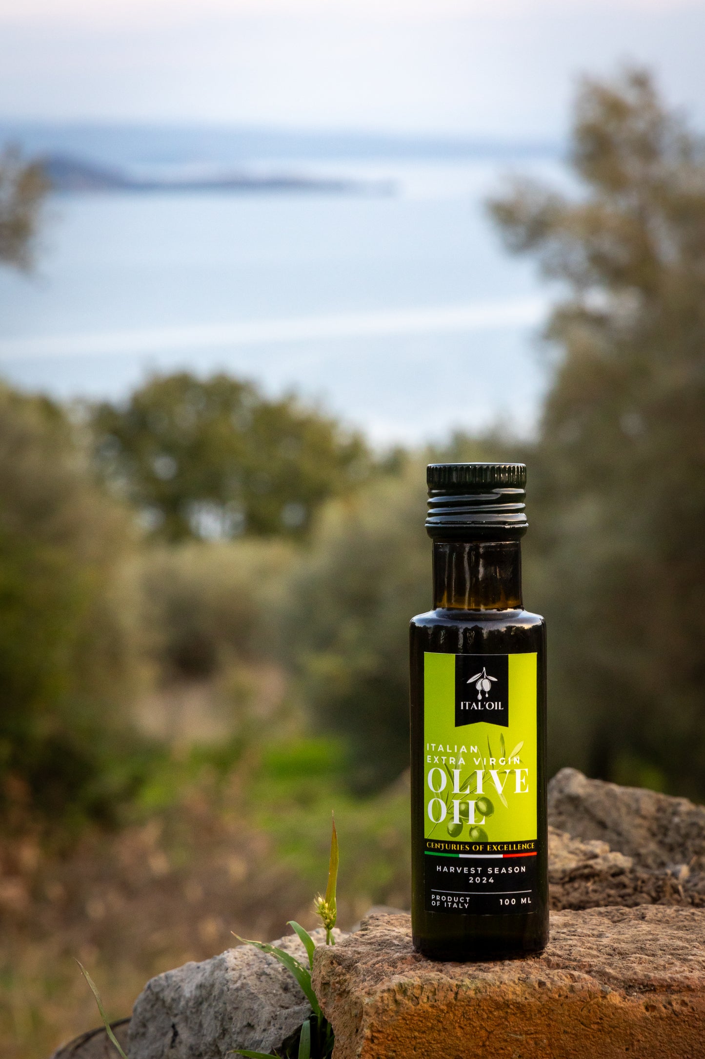 Olive Oil from Italy Harvest 2024 - 3.4oz