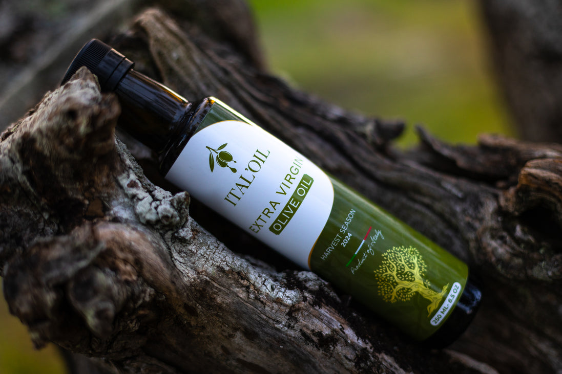 ITALOIL 500ml olive oil bottle resting on an olive tree trunk