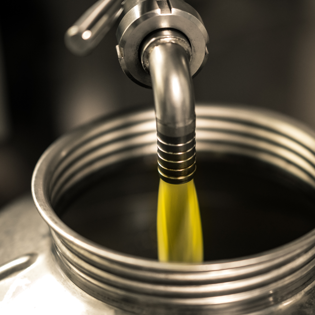Fresh olive oil pouring into a stainless steel container